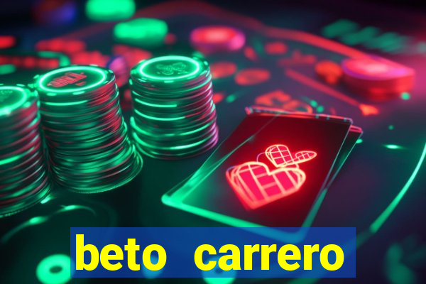 beto carrero cidades proximas